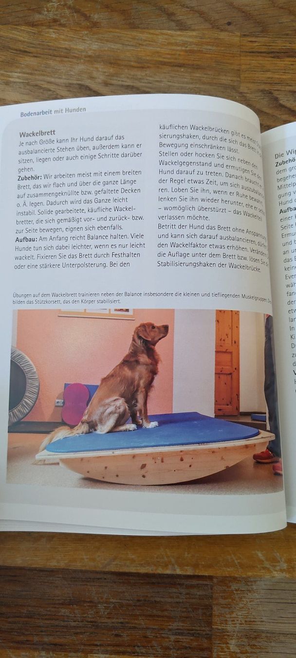 Libri: Bodenarbeit mit Hunden – Usato da Meinisberg venduto da leo122 3