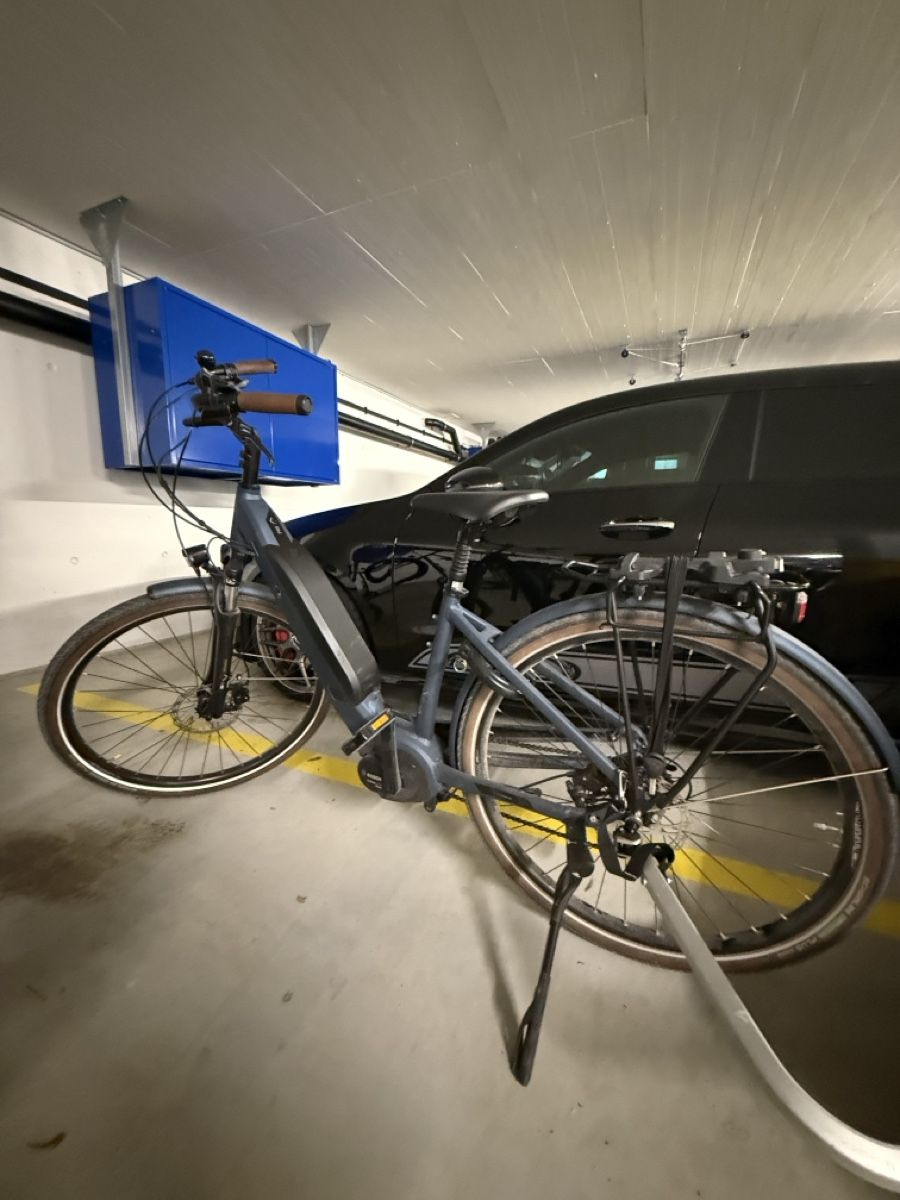 Velos: E-Bike ab Service  – Gebraucht aus Wetzikon ZH von akikaki13