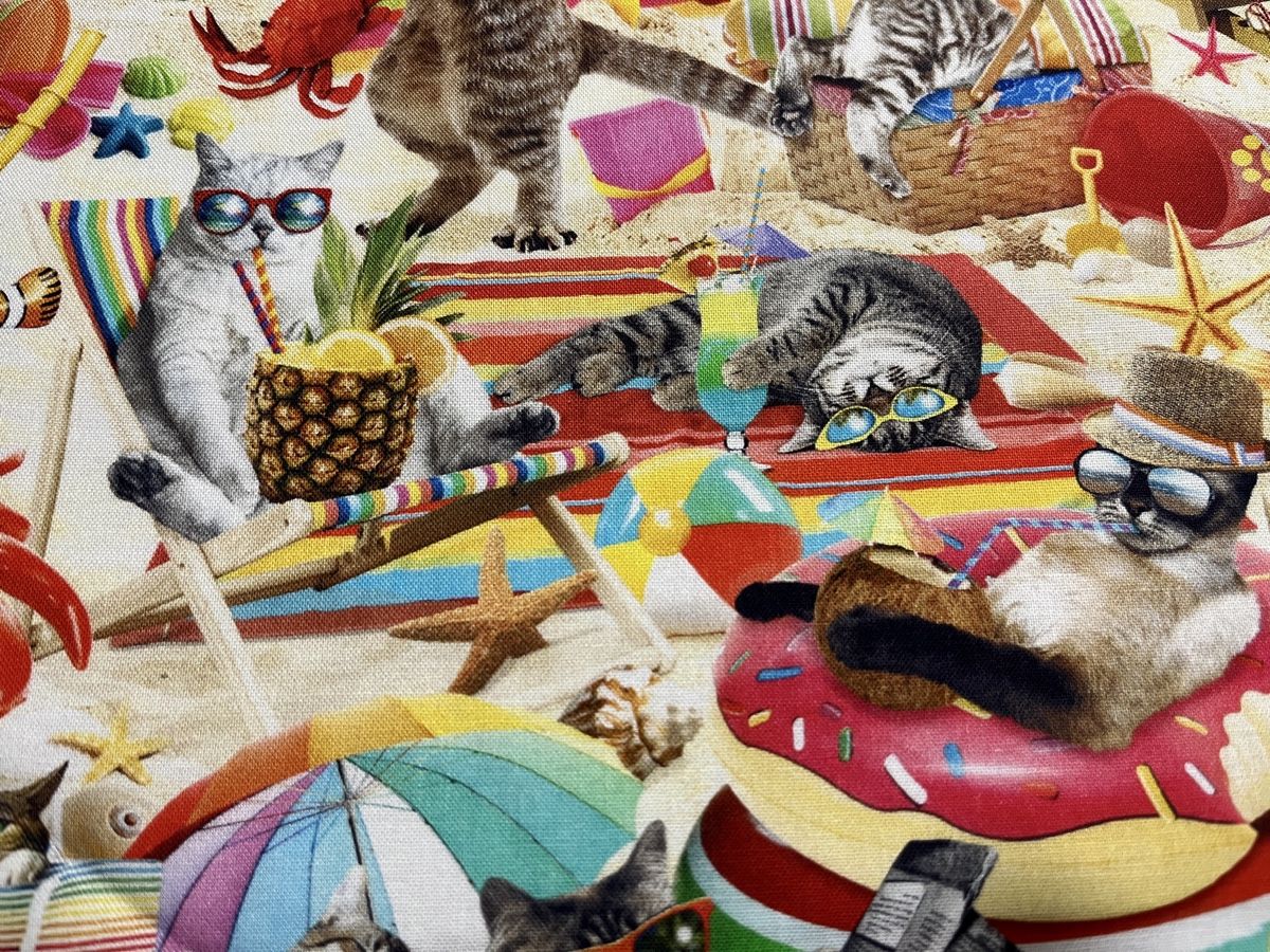 Tessuti: Patchworkstoff lustige Katzen bunt Strandleben – Nuovo (secondo la descrizione) da Seuzach venduto da KreativmitStoff 1