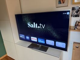 Panasonic 55 Zoll Fernseher Flachbildschirm TV 