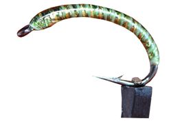 Hegene (Gambe) für Egli