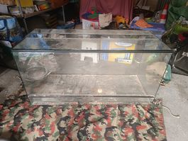 Terrarium Gross: 120cm x 50cm x 60cm