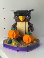 Lego set 40497 Halloween Owl