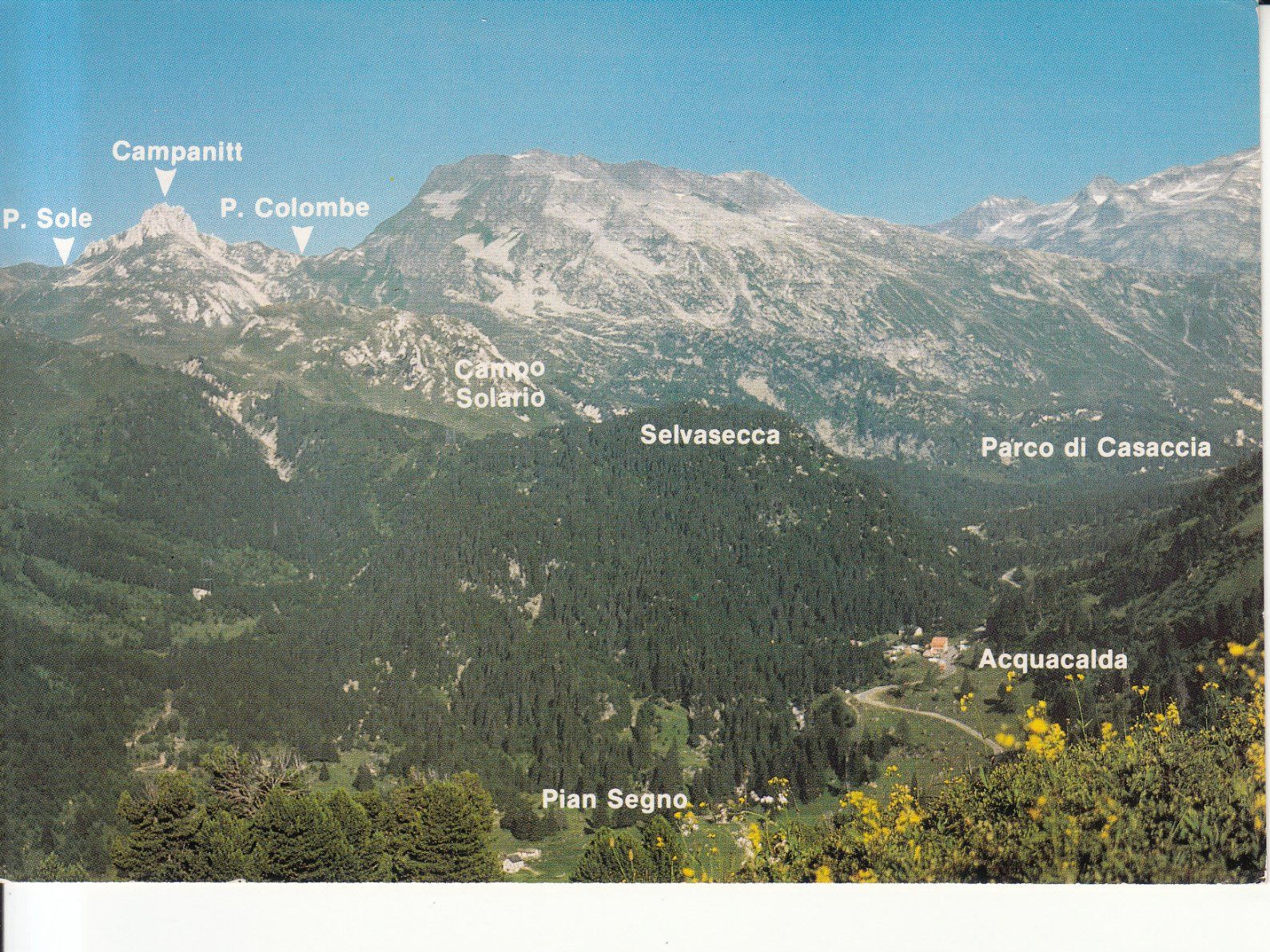 Cartoline postali: Selvasecca 1993 – Usato da Bürglen TG venduto da StampGraf