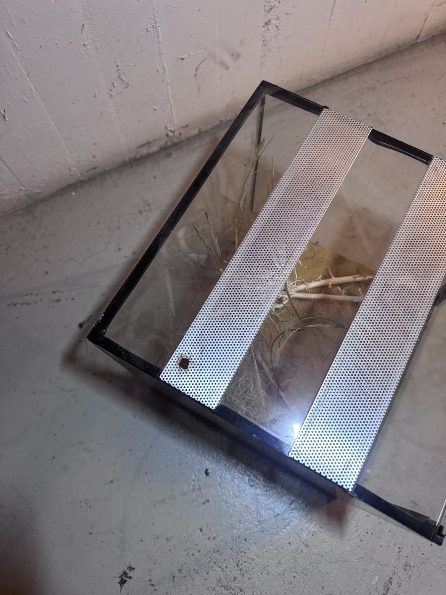 Terrario: Terrarium – Usato da Langnau am Albis venduto da ale_sc2y 2