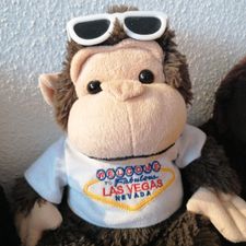 Profile image of Monkey013