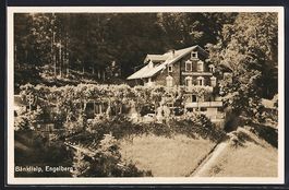 Engelberg, Pension-Restaurant Waldhaus B