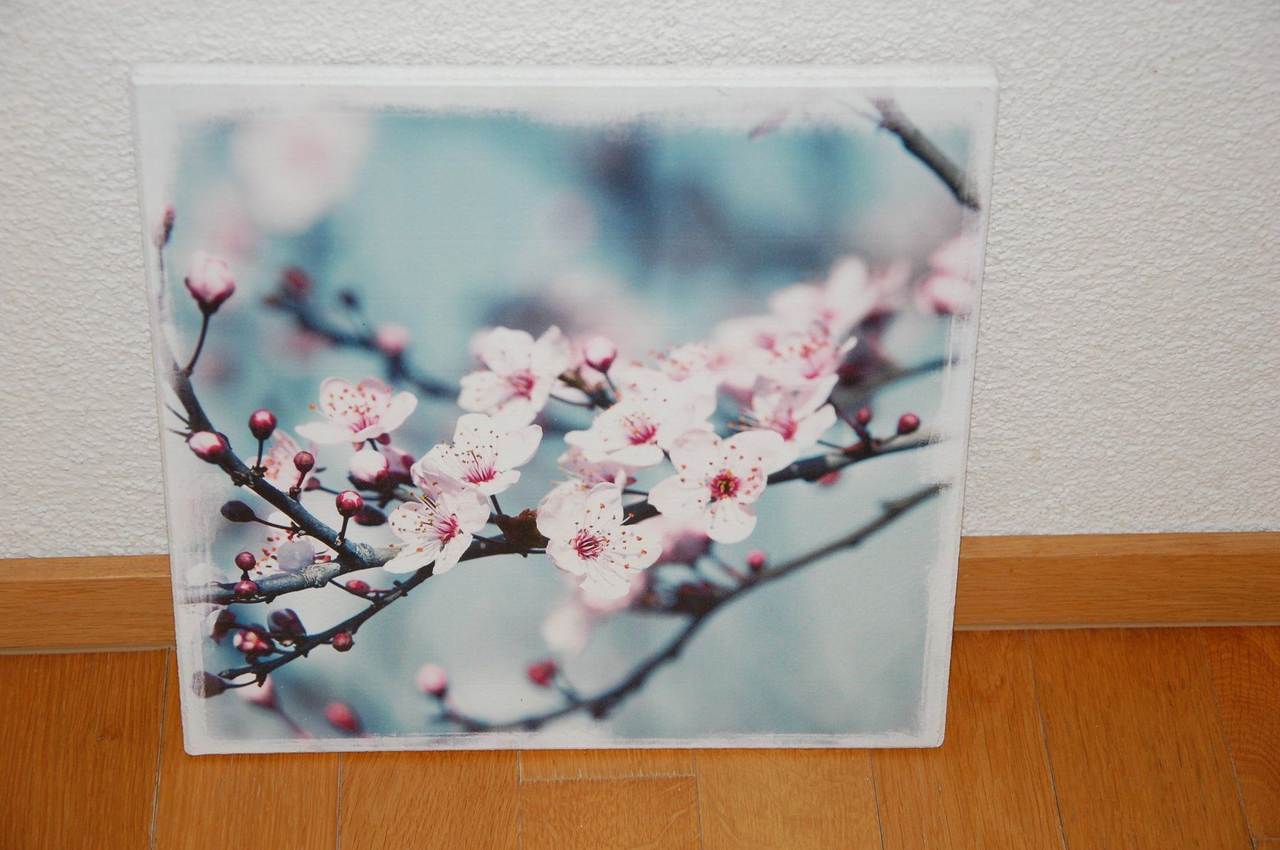 Foto & Immagini: Bild Kirschblüten ca. 30x30cm – Usato da Langenthal venduto da blueskye01 1