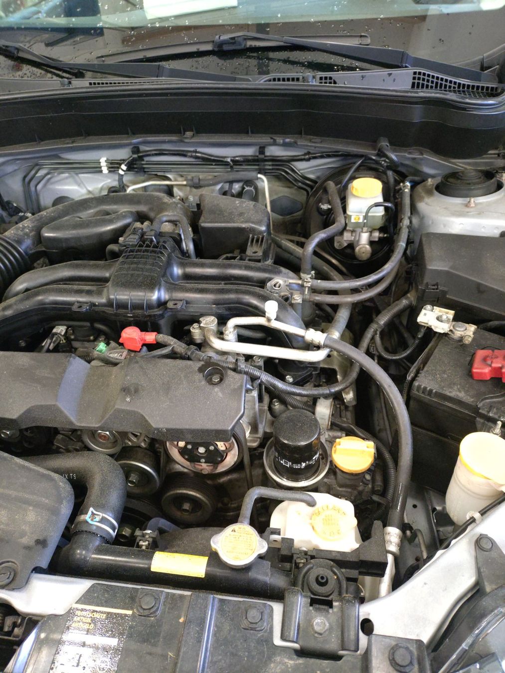 Subaru Automobili: Subaru Forester mit Motorschaden – Difettoso da Zugerberg venduto da Marcello81 8