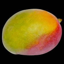 Profile image of biomango