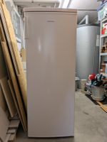 Kühlschrank Kibernetik ohne Gefrierfach