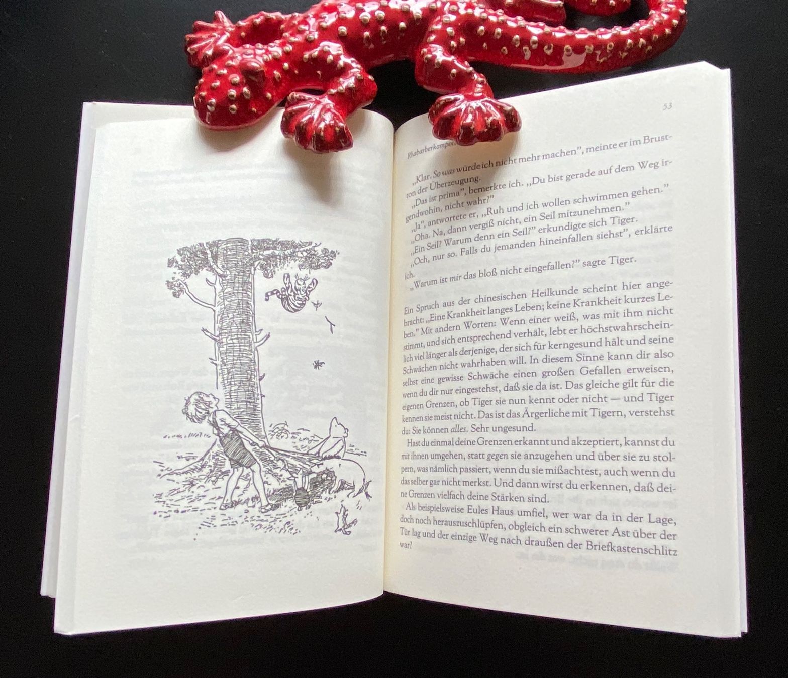 Libri: Tao Te Puh von Benjamin Hoff – Usato da Nussbaumen AG venduto da schuba2000 3
