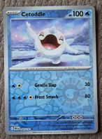 Cetoddle 064/182 Pokemon Karte Paldea Evolving Neu! Selten!