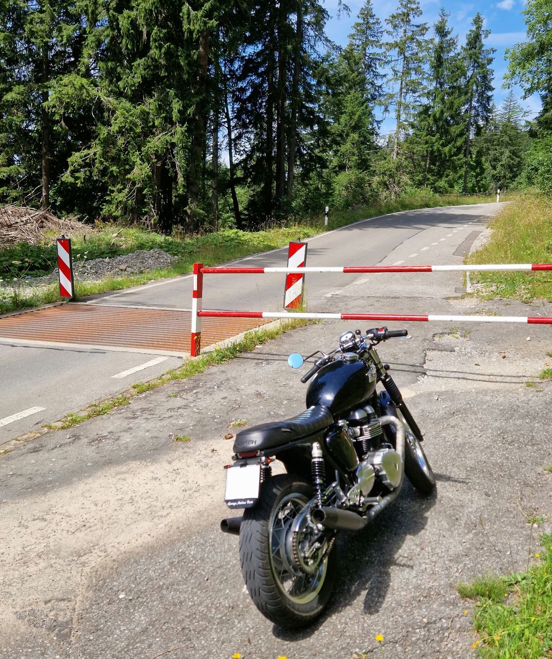 Triumph Strasse: Triumph Thruxton 900 – Gebraucht aus Bern von hcp2