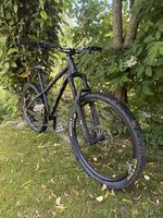 Dartmoor Primal L Hardcore Hardtail | DT Swiss | Mullet