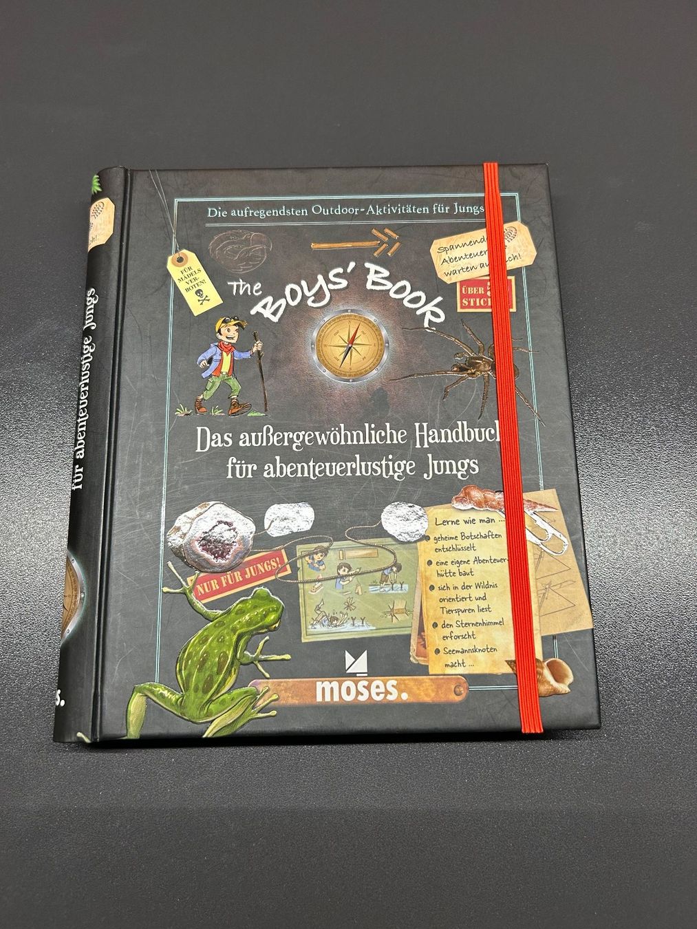 Libri: Buch MOSES: The Boys' Book – Usato da Cham venduto da milaur