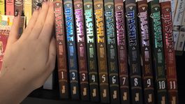 Mashle Manga Bände 1 bis 11 neuwertiger Zustand