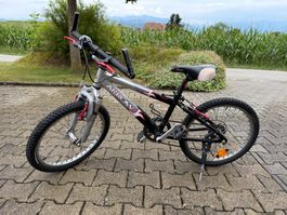 Arrow Kinder Mountainbike 20 Zoll 6 Gang