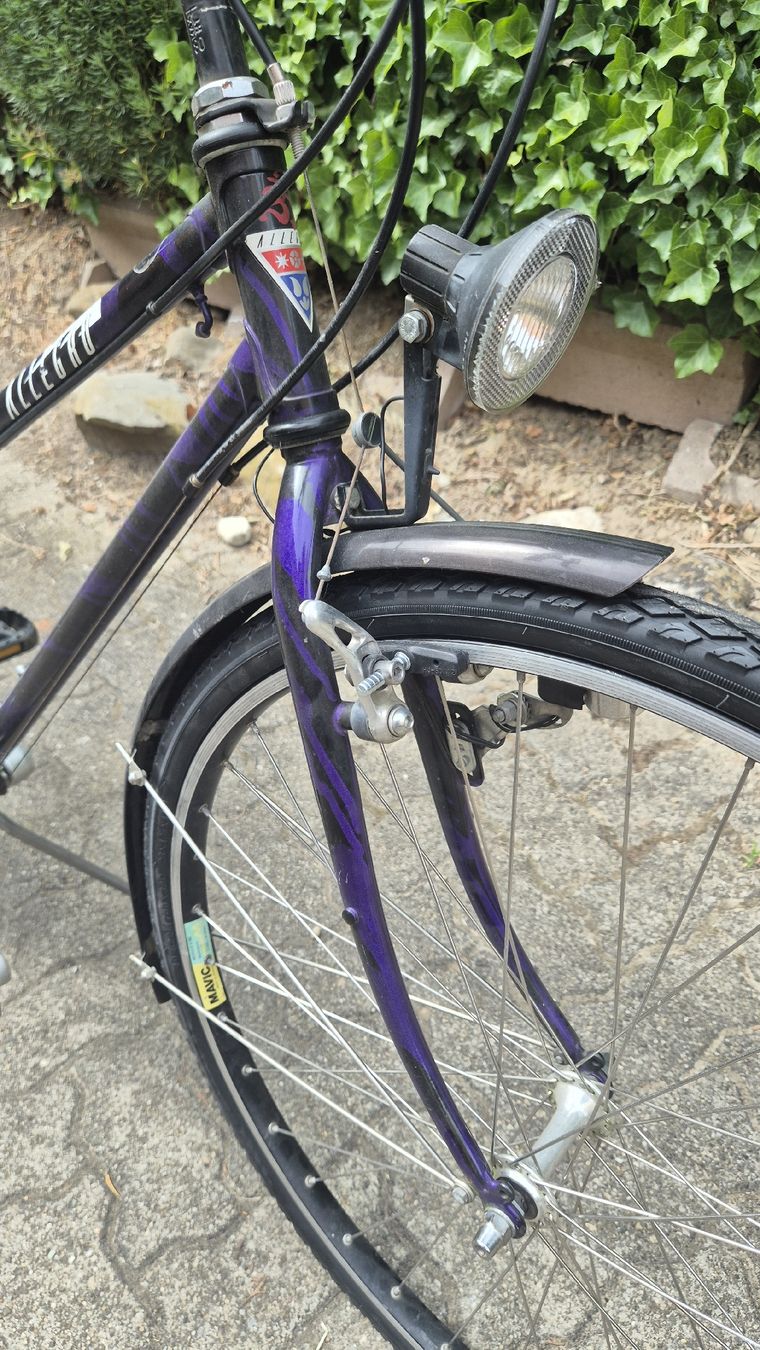Velos: Velo – Gebraucht aus Oberhasli von Velo_Susak 3