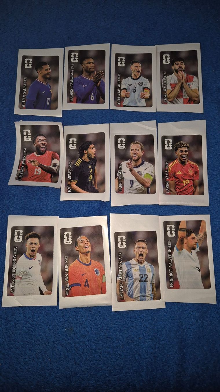 Panini Carte collezionabili: Alle 12 Coca-Cola Sticker Panini 2026 – Usato da Uznach venduto da DeNois