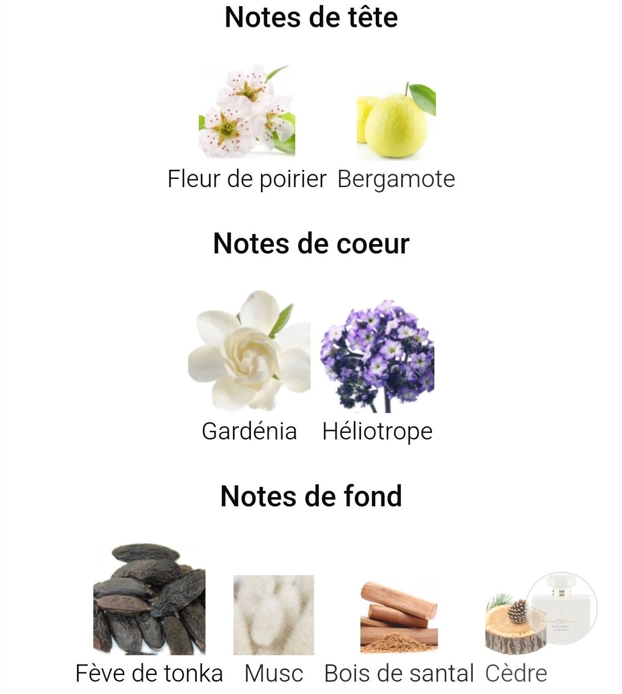 Profumi & Eau de Toilette: SAMPLE Pascal Morabito Pure Perle – Nuovo (secondo la descrizione) da Jona venduto da Perfum_lover 1