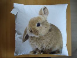 Hasen Kissen