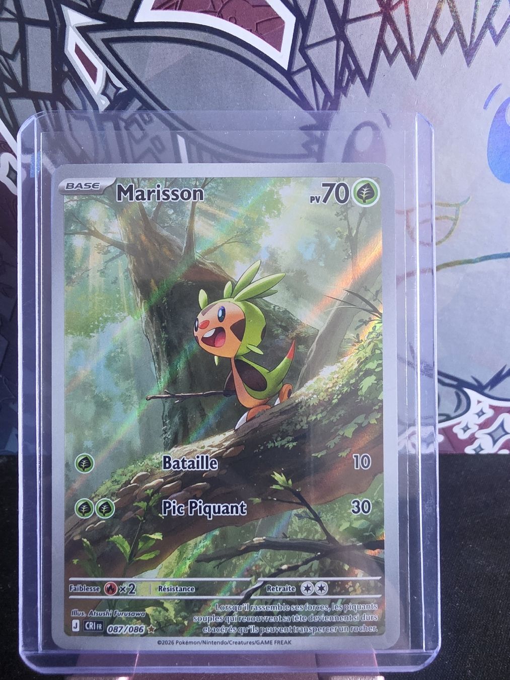 Pokémon Carte collezionabili: Carte Pokemon : Marisson . 087 086 – Nuovo (secondo la descrizione) da Riddes venduto da stefanobsn