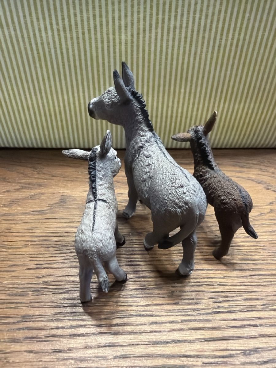 Schleich Giocattoli: Schleich Esel Set – Usato da Auw venduto da grisu81 1