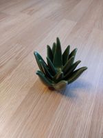 Aloevera Ringhalter Keramik