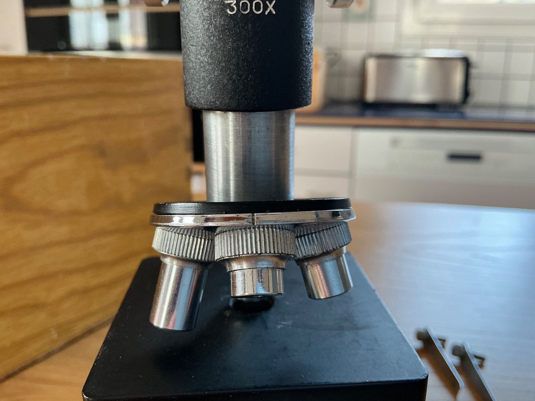 Microscopi: Kleines Kinder- Mikroskop Champion – Usato da Cormondrèche venduto da fra_gn5t 3