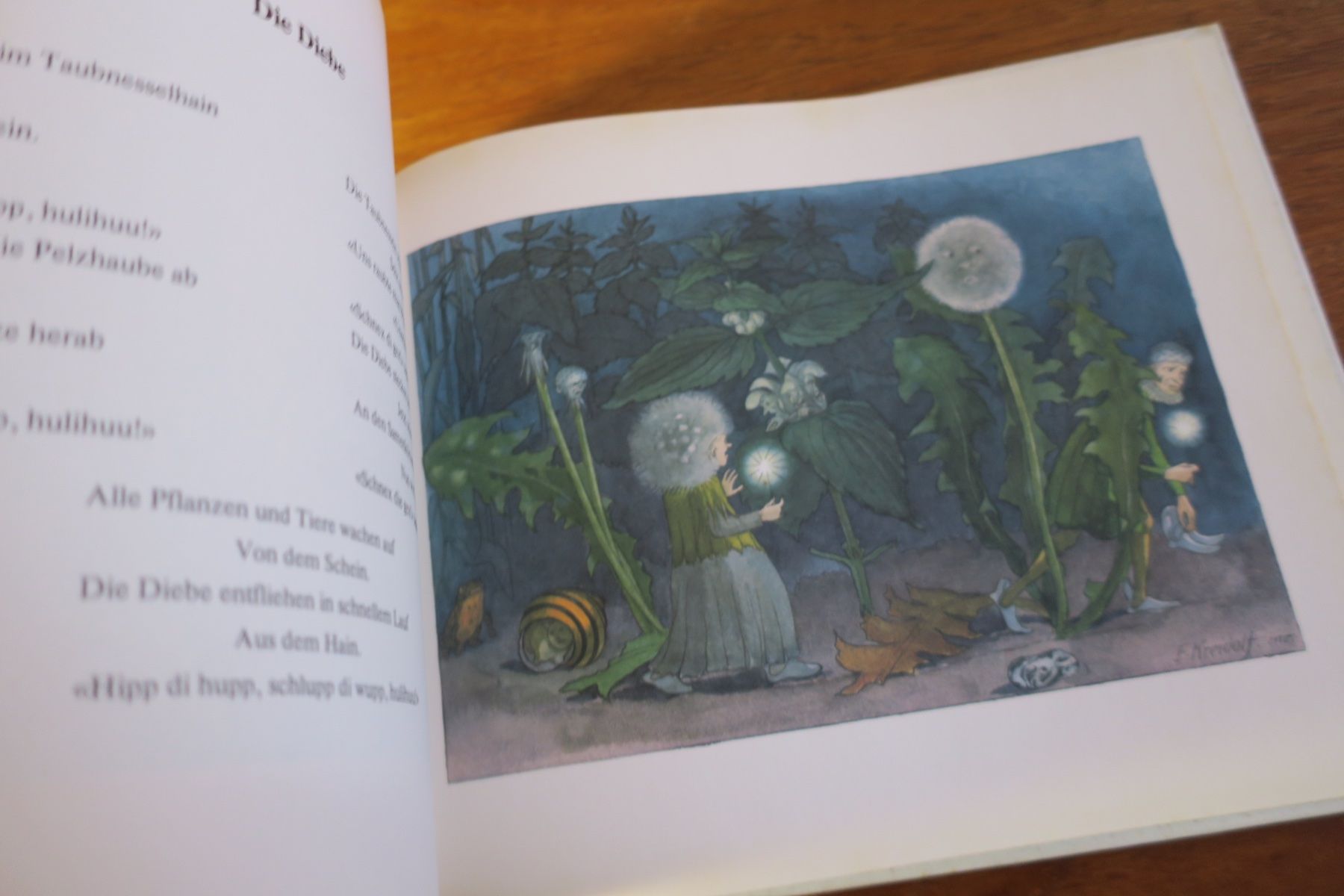 Libri: Ernst Kreidolf / BLUMENMÄRCHEN – Usato da Langenthal venduto da Riccardamax 5