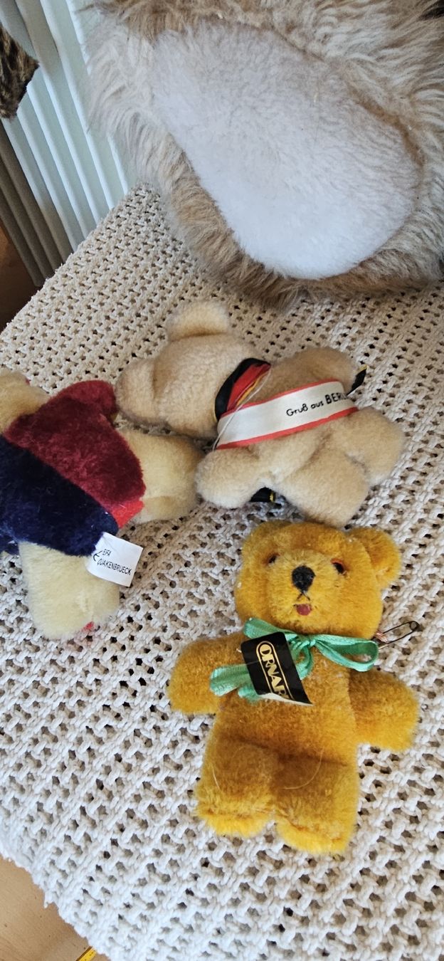 Giocattoli: Teddybären Lot – Usato da Belp venduto da Ginus85 4
