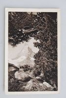 AK Zermatt - Riffelalp 1924