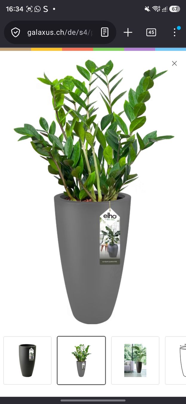 Blumentöpfe: Elho Pure Soft Blumentopf – Gebraucht aus Rickenbach b. Wil von Kth_v8 3