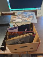 70 Schallplatten Rock Hardrock Pop