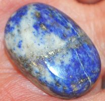 Cabochon L-5833 – Lapislazuli 22x15mm 24,55 Karat