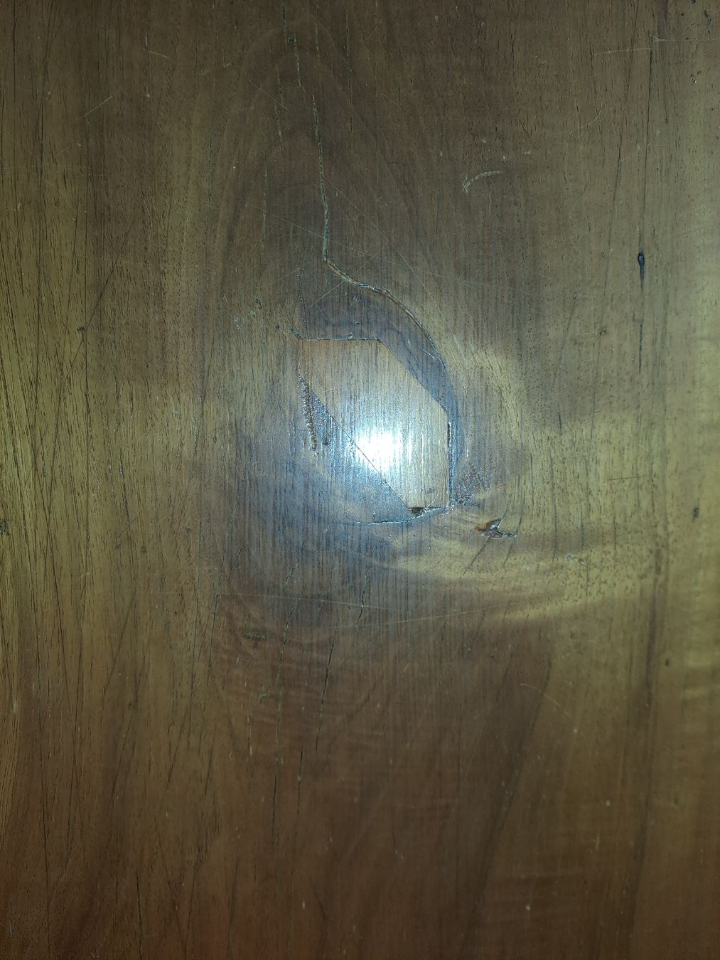 Tavoli: Tisch Platte Nussbaum 142x77cm – Usato da Gebenstorf venduto da suroh 2