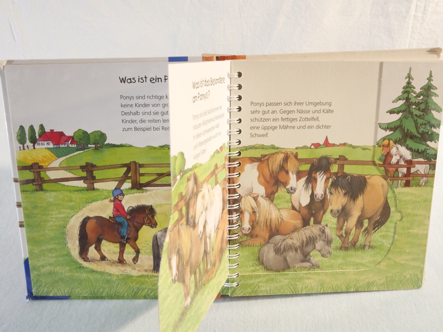 Bücher: Wieso Weshalb Warum? junior: Das Pony – Gebraucht aus Lustmühle von Glatisant 3