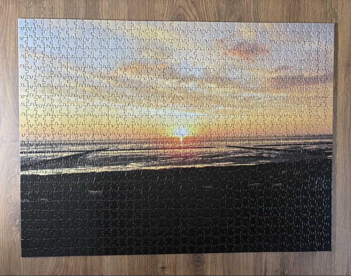 Puzzle: Puzzle 1000 Teile, Selfmade – Nuovo (secondo la descrizione) da Thürnen venduto da Lilie37 1