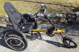 Hase Bike Trets Liegedreirad für Kinder mit/ohne Handicap