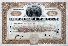 Tuolumne Copper Mining Company - 1921