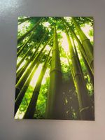 Bild auf Leinwand, Bambus, Grösse 90cm x 120cm