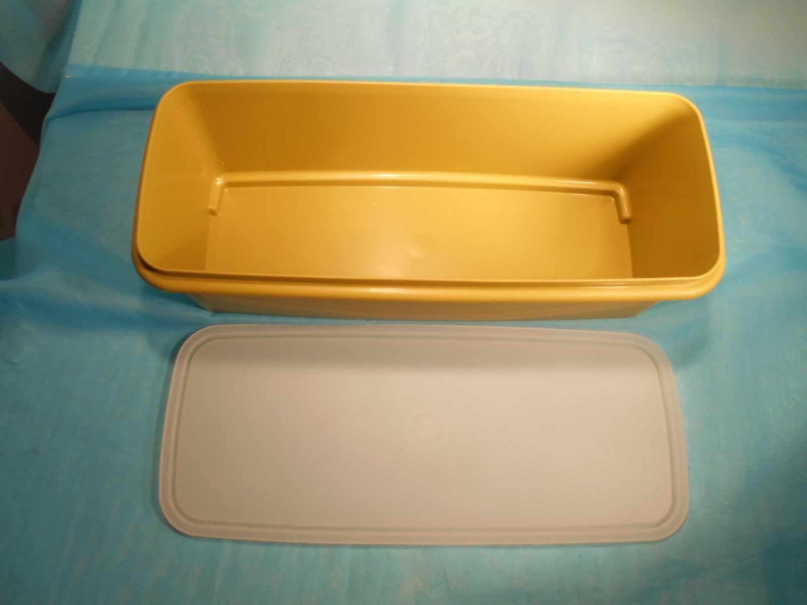 Tupperware Contenitori & Simili: Grosser Tupperware Behälter, olivegrün – Usato da Bellach venduto da JingleCherry 4