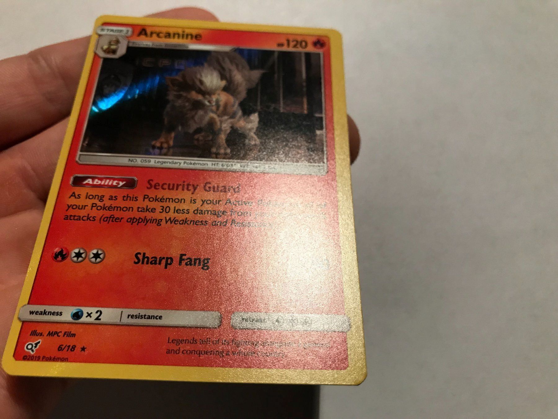 Pokémon Carte collezionabili: Arcanine holo – Nuovo (secondo la descrizione) da Hagendorn venduto da Pokecollectorch 1