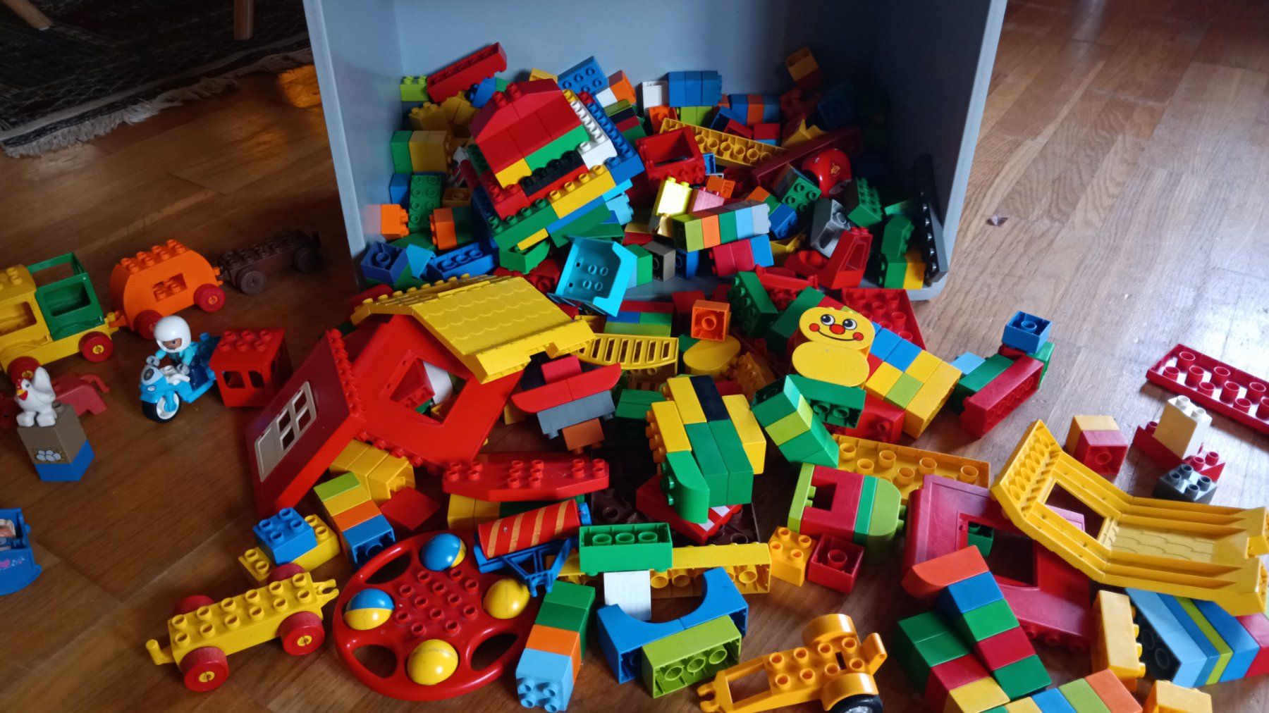Lego Giocattoli: Lego Duplo – Usato da Biezwil venduto da Sabiiiine