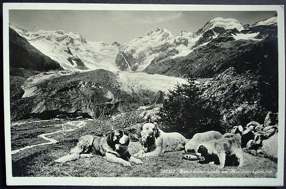 Ansichtskarten: MORTERATSCHGLETSCHER Bernhardiner-Hunde – Gebraucht aus Jona von philajona