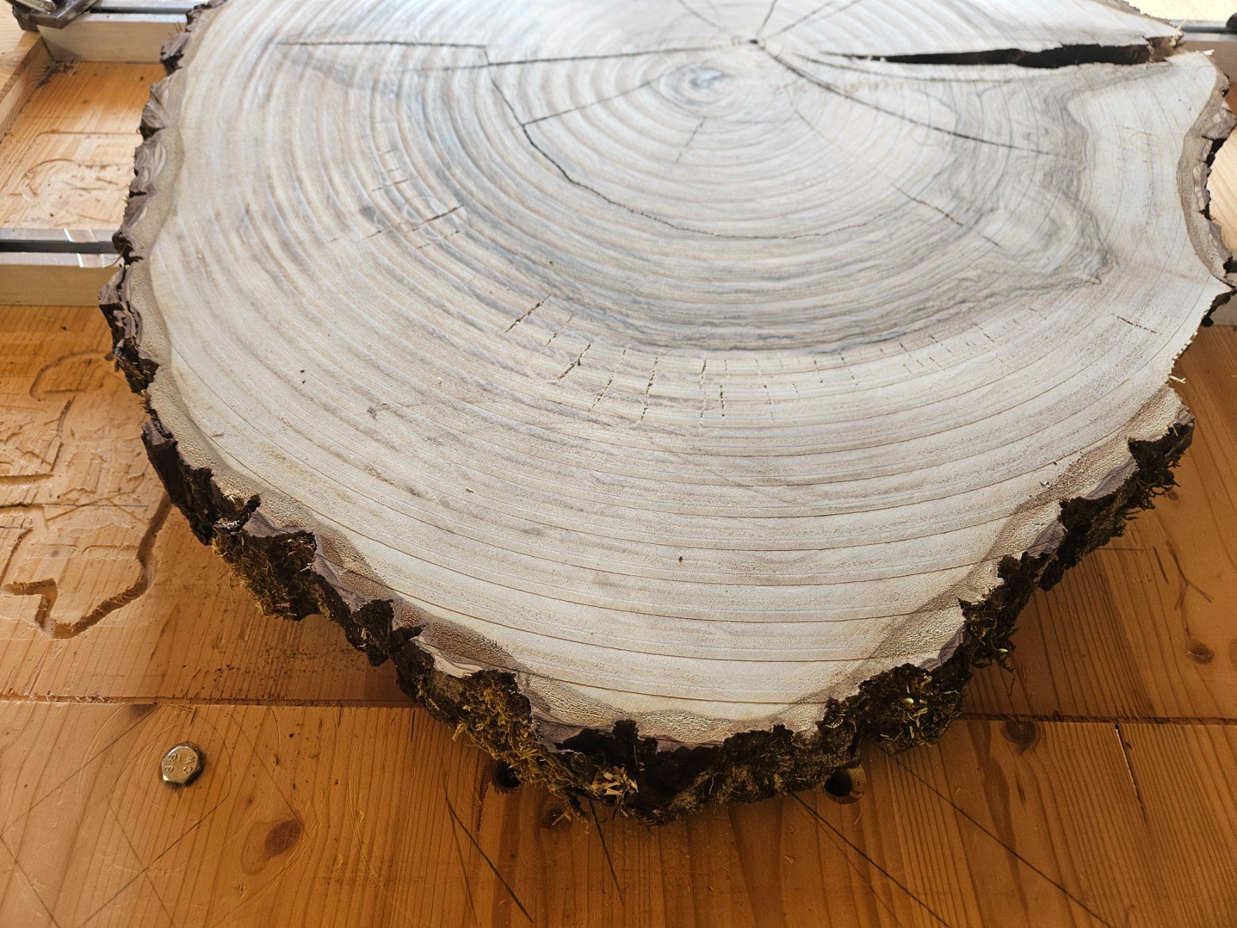 Holzartikel: Nussbaum Holz Baumscheibe – Neu (gemäss Beschreibung) aus Schangnau von egli6.2 3
