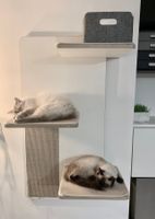 Kratzwand Relex mit 3 Liegeflächen von stylecats Design