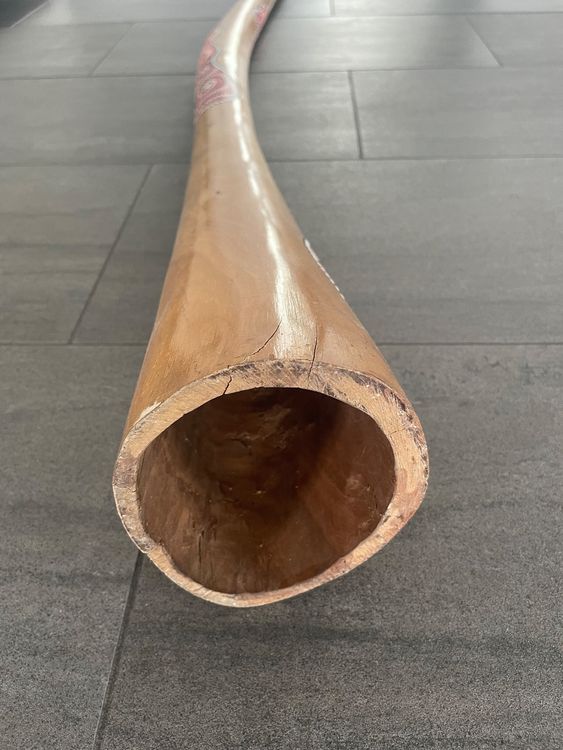 Original Didgeridoo (handgemacht in Australien) Kaufen auf Ricardo