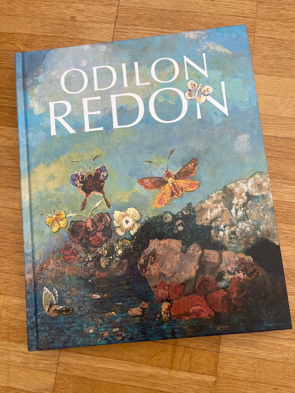 Libri: Odilon Redon Fondation Beyeler Kunstbuch – Nuovo (secondo la descrizione) da Lenzburg venduto da specialcopter
